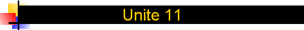 Unite 11