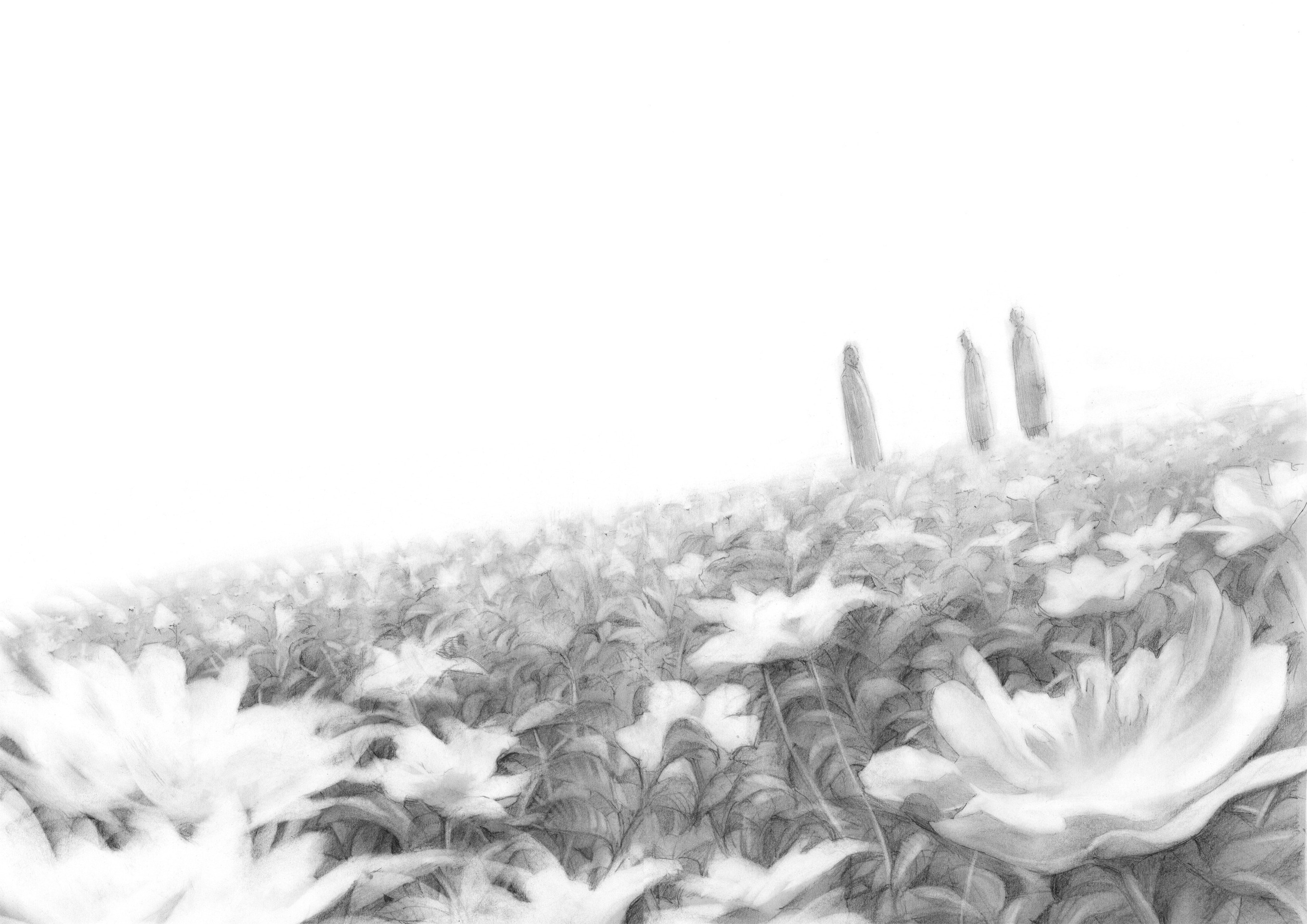 Give My Regards to Black Jack