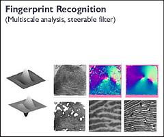 Fingerprint Recognition