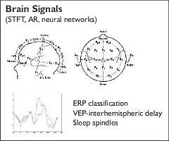 Brain Signals