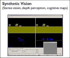Synthetic Vision