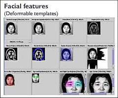 Facial Features
