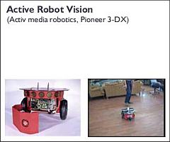 Active Robot Vision