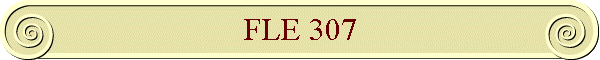 FLE 307