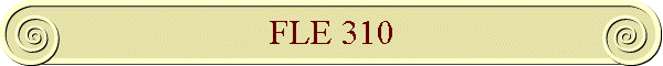FLE 310