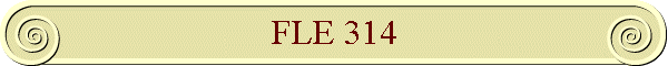 FLE 314